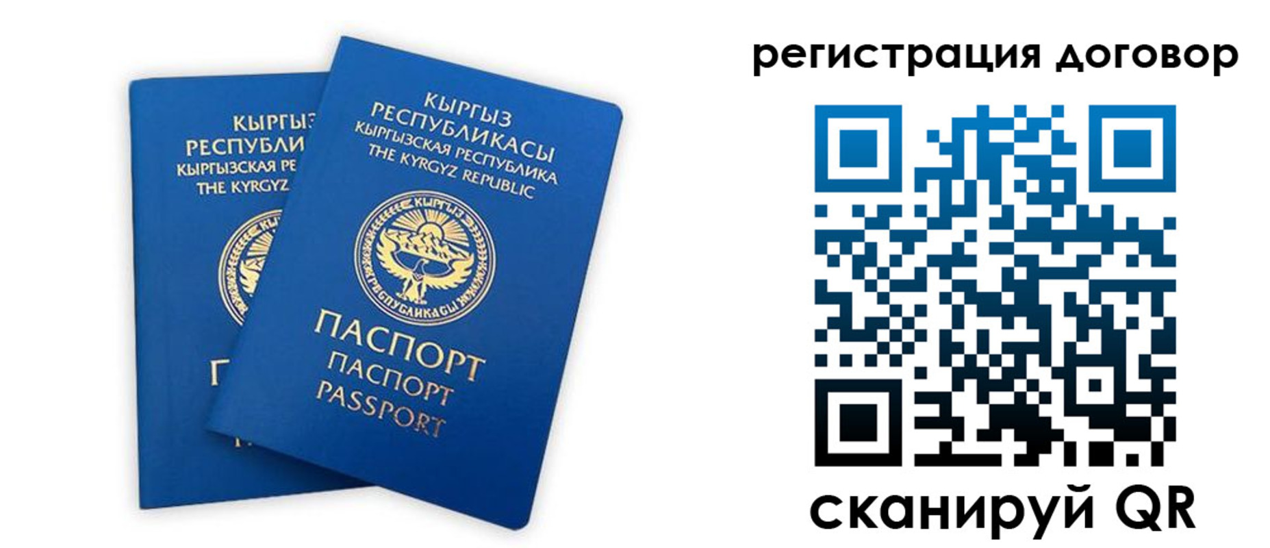 прописка законно в Советске